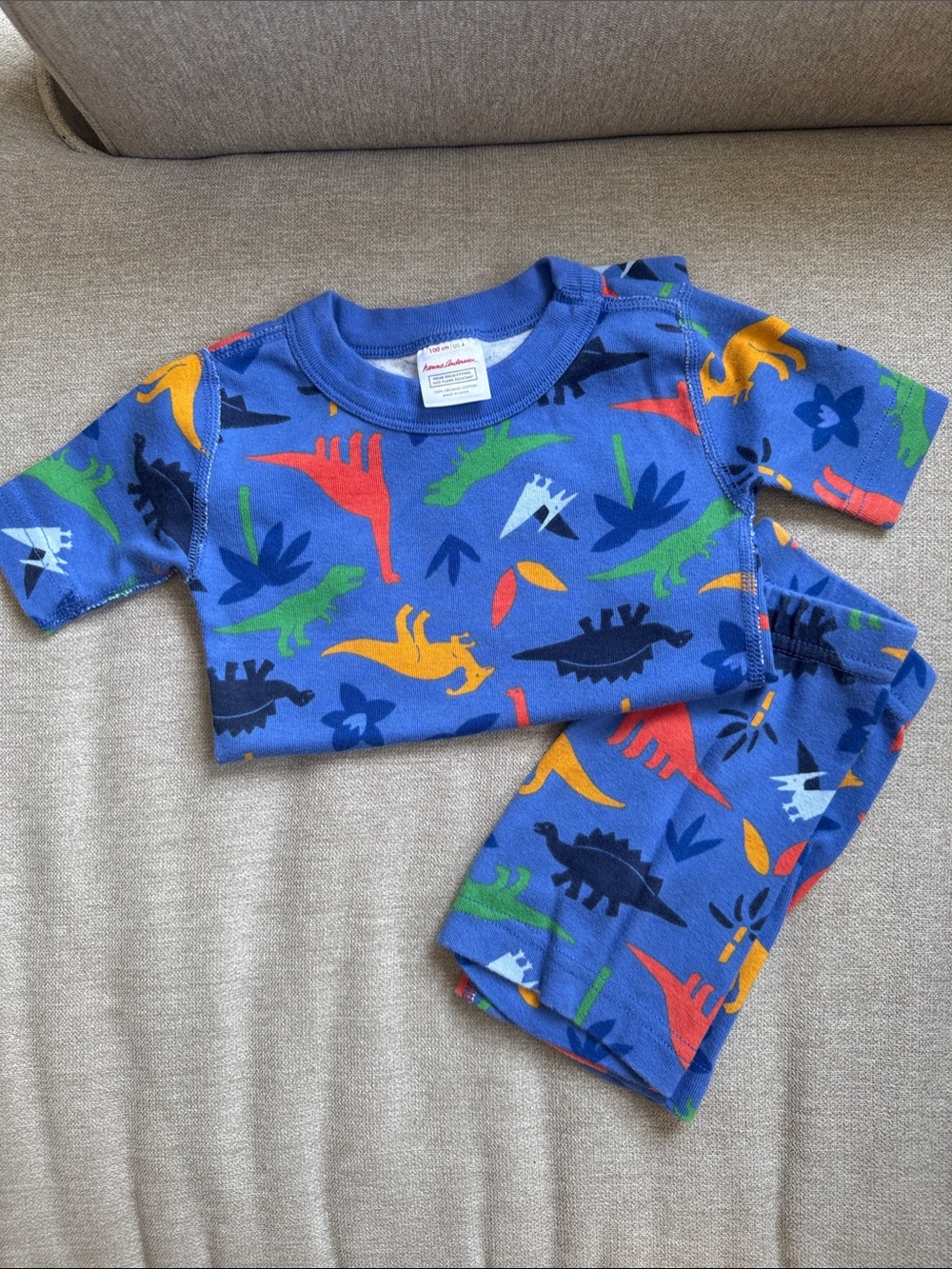 Hanna Andersson Blue Pajama Set with Multicolor Dinosaur Print